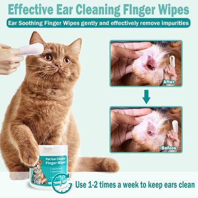 "Transform Grooming into Moments of Joy"