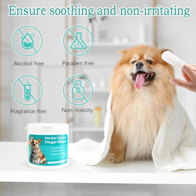 "Transform Grooming into Moments of Joy"